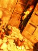 DSCN1156