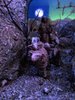 DSCN1198