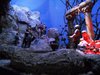 DSCN1194