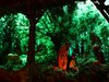 IMG_1078-