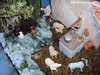 DSC00462