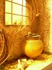 DSCN0085