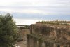 Alicante (251)