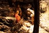 conchabermudo (38)