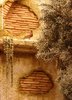 rafamartz (11)