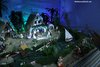 IMG_1893
