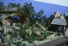 IMG_1845