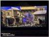 IMG_5786